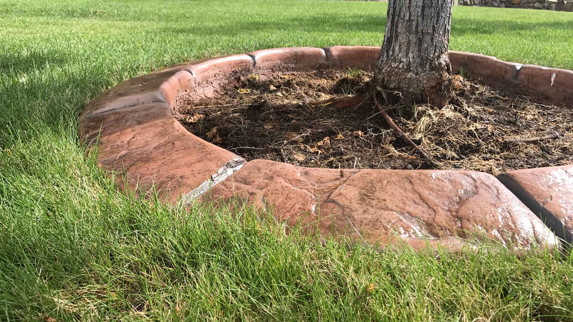 Creative Edging in Colorado