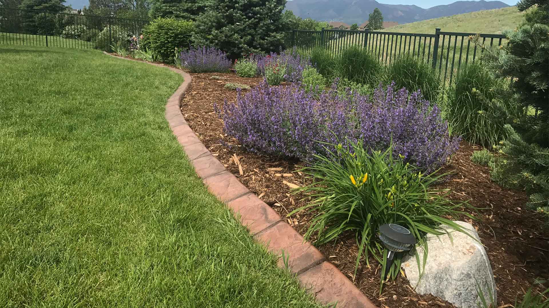 Landscaping blog Colorado