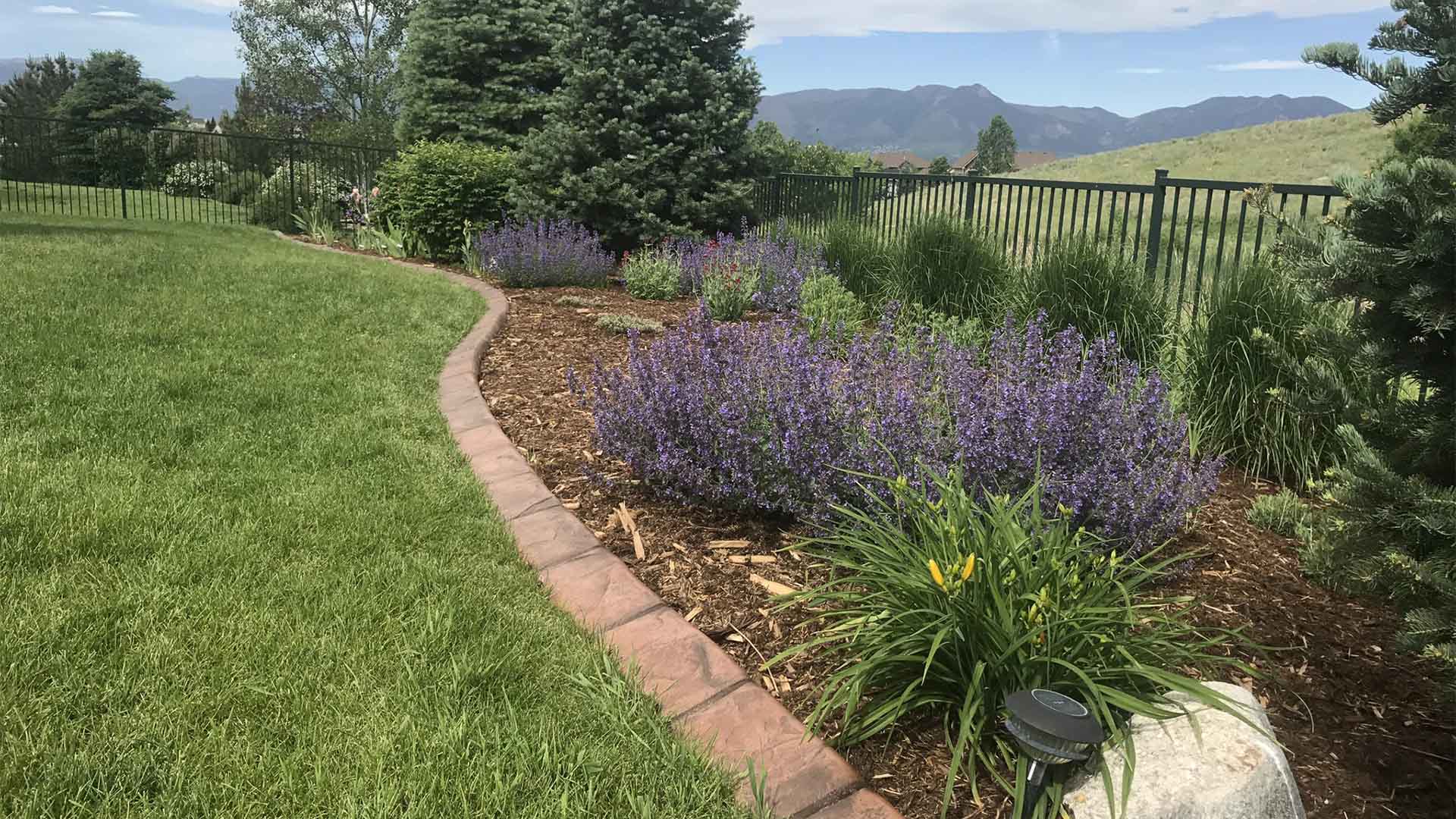 Cement Landscape Edging Services in Colorado