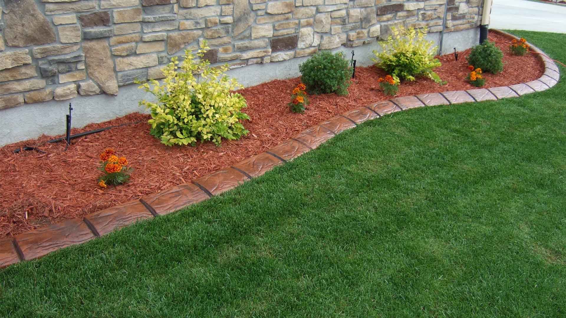 Xeriscaping in colorado