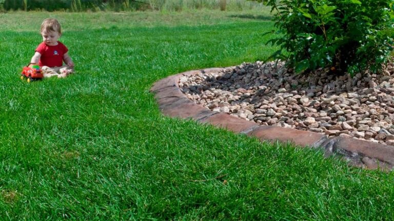 Affordable Landscape Edging in colorado