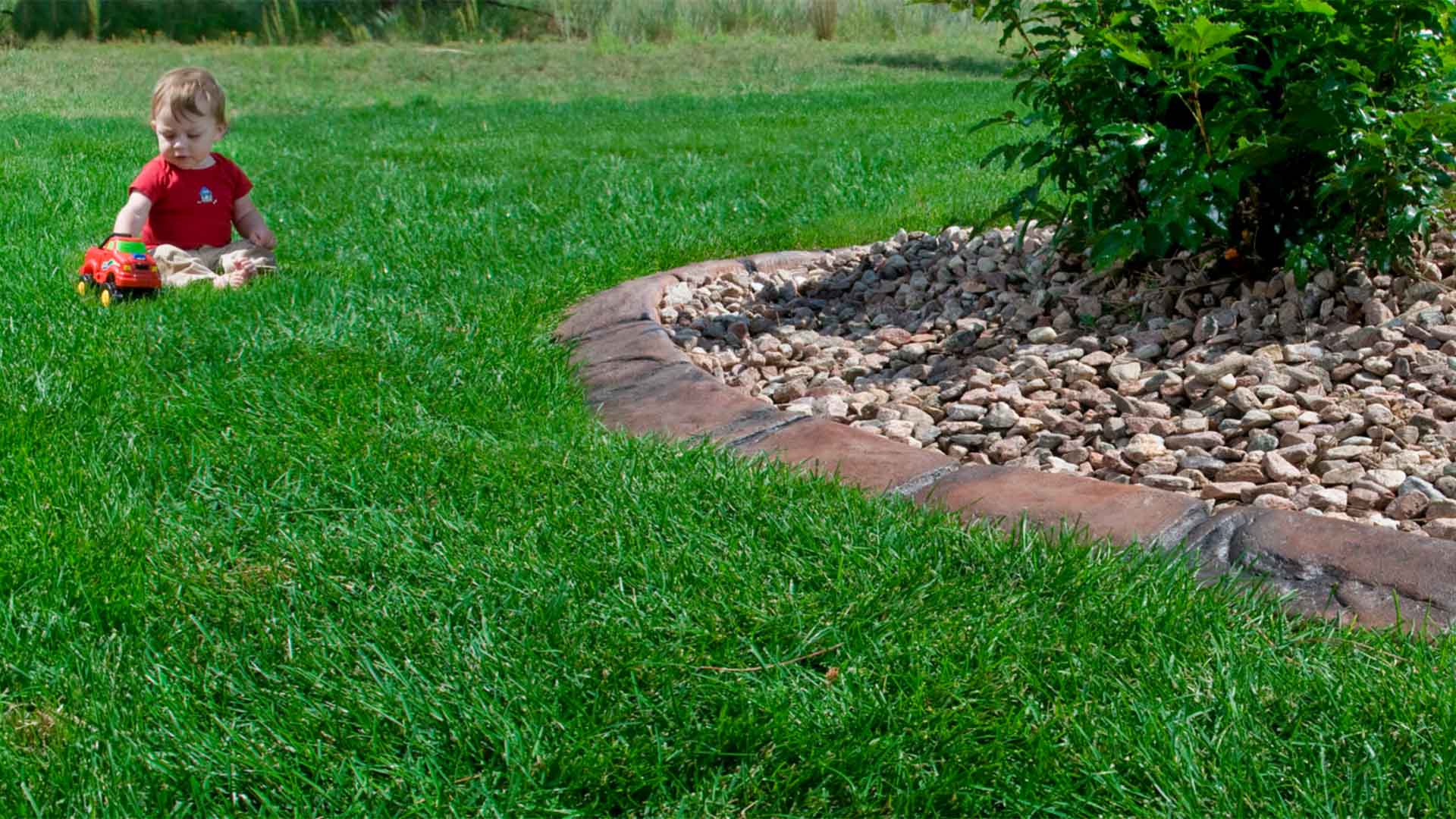Affordable Landscape Edging in colorado