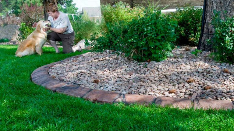 Landscape Edging Trends in colorado