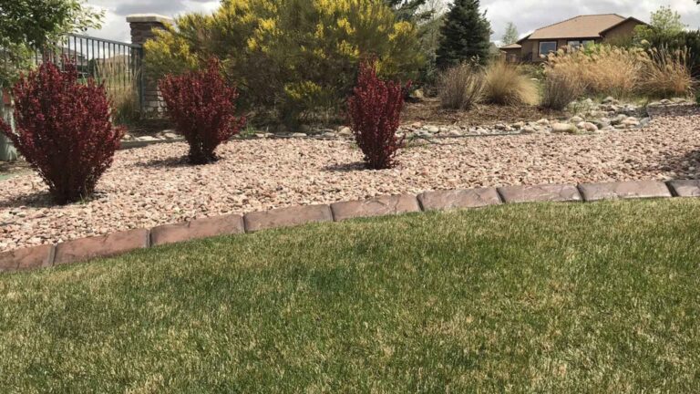 landscape edging in thornton colorado