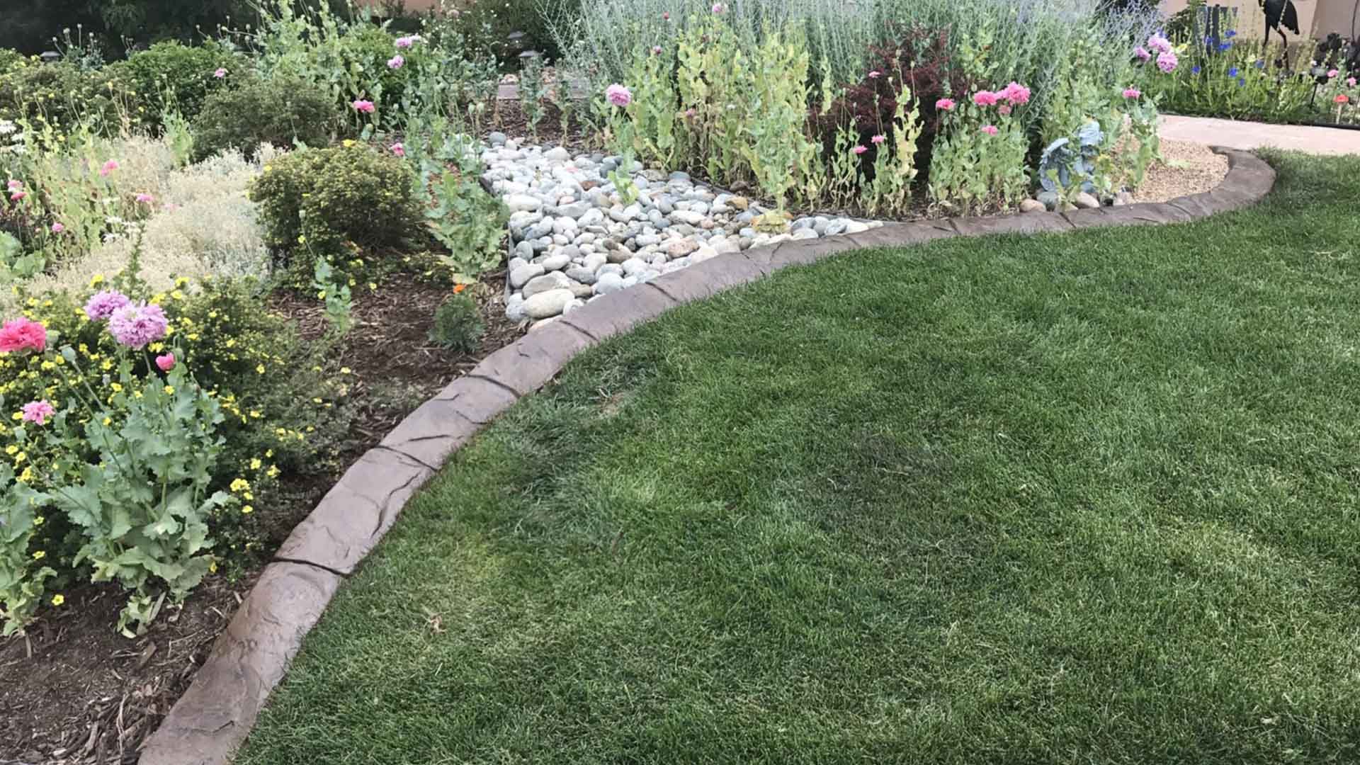 Biochar Soil Amendments colorado