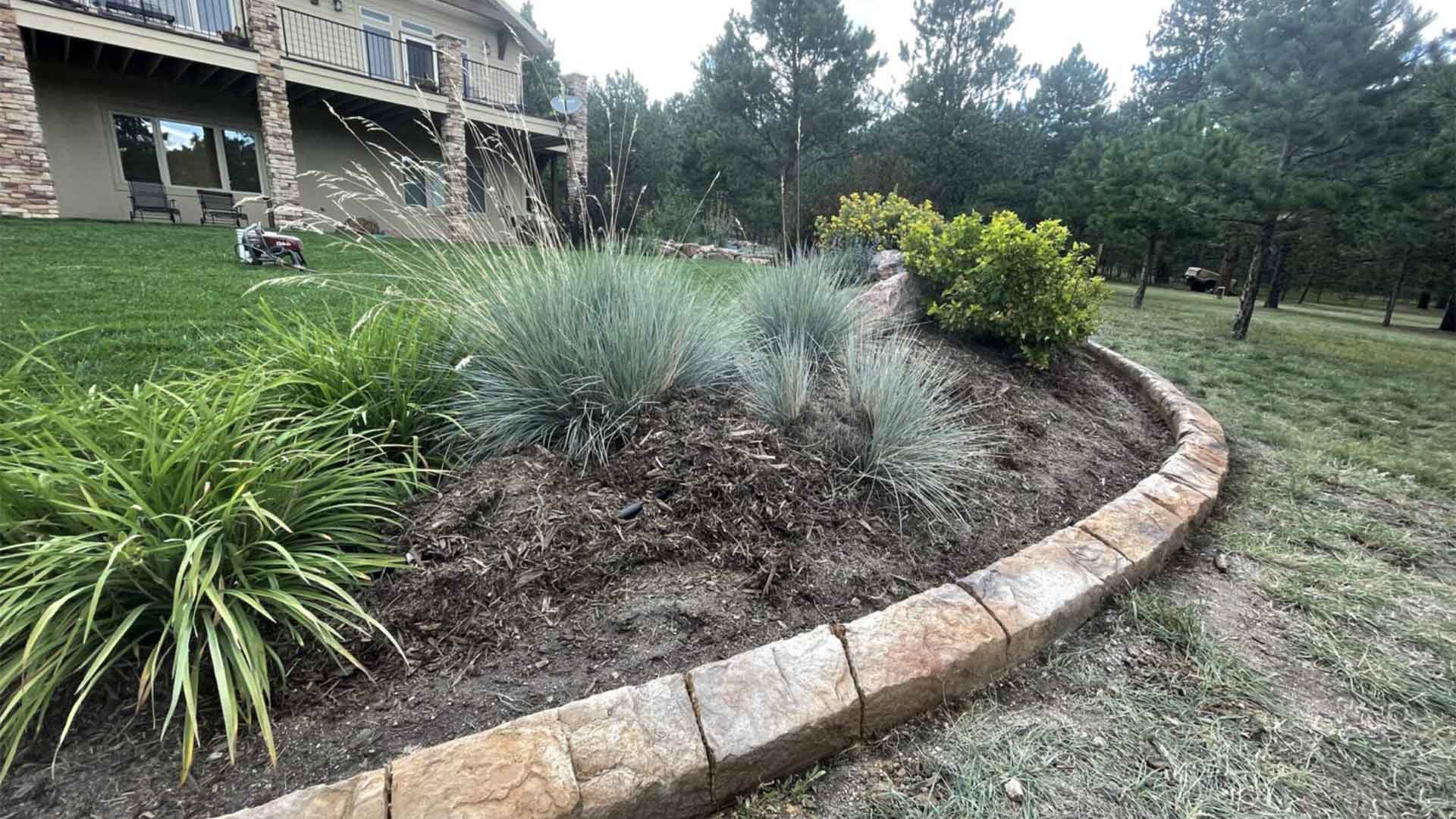High-Altitude Gardens in colorado