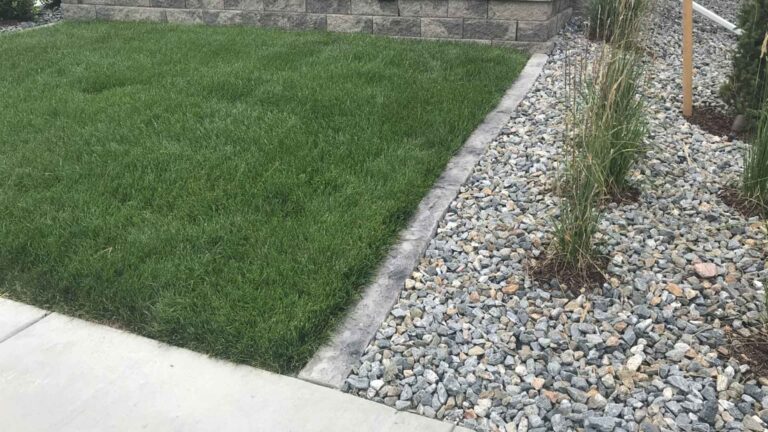 The Perfect Landscape Border for Colorado