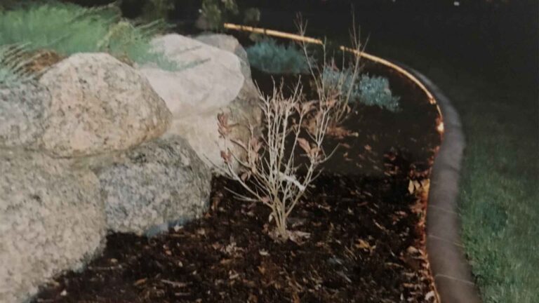 Landscape Edging Services in Manitou Springs, CO