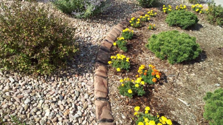 What is the best edging plant?