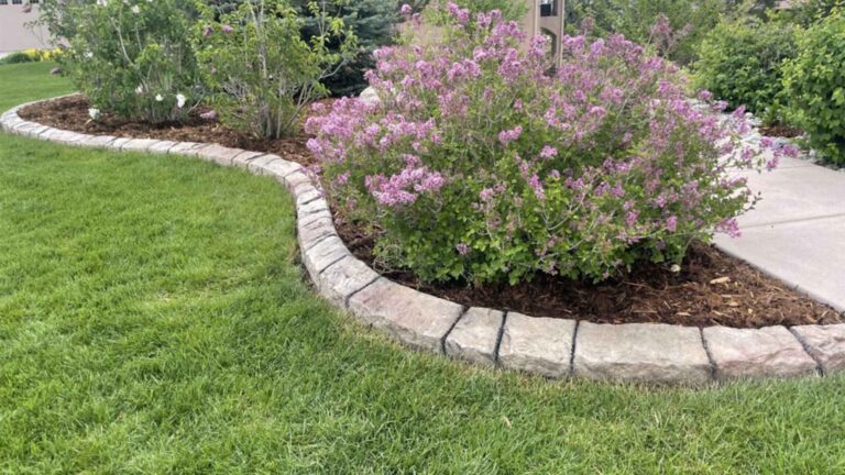 SWPPP Barriers and Stormwater in colorado