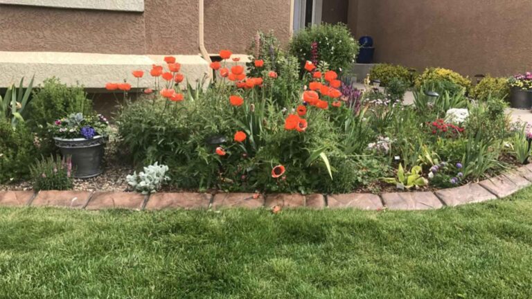 landscape services in castle pines village colorado