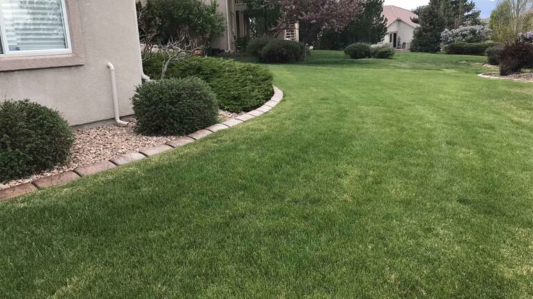 Landscape Services in Franktown, Colorado