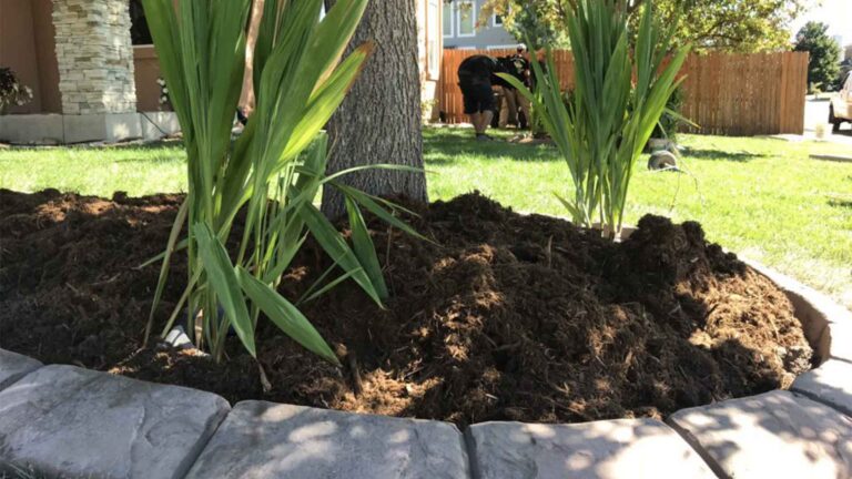 Landscape solutions Gleneagle, CO