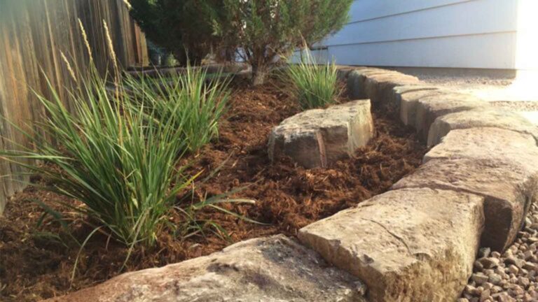 landscape services in palmer lake colorado