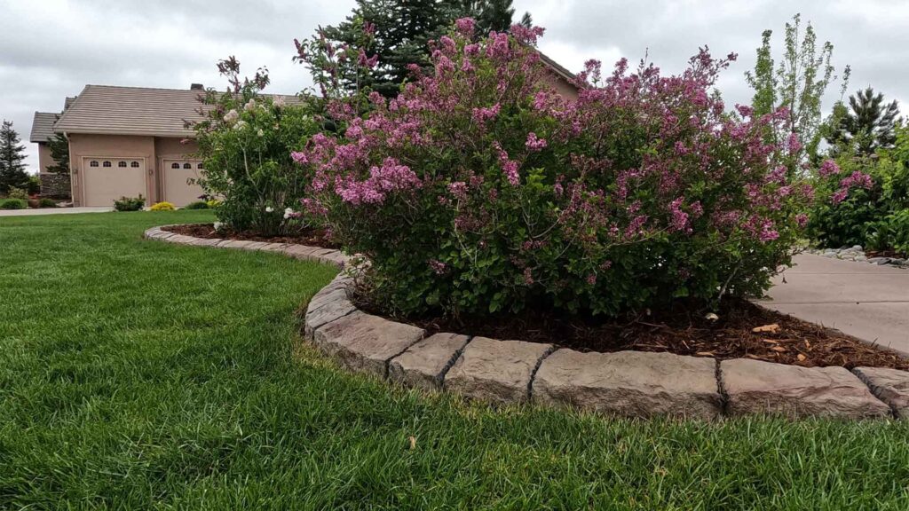landscape services in El Paso County colorado