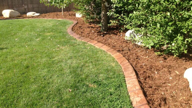 Budget-Friendly Edging colorado