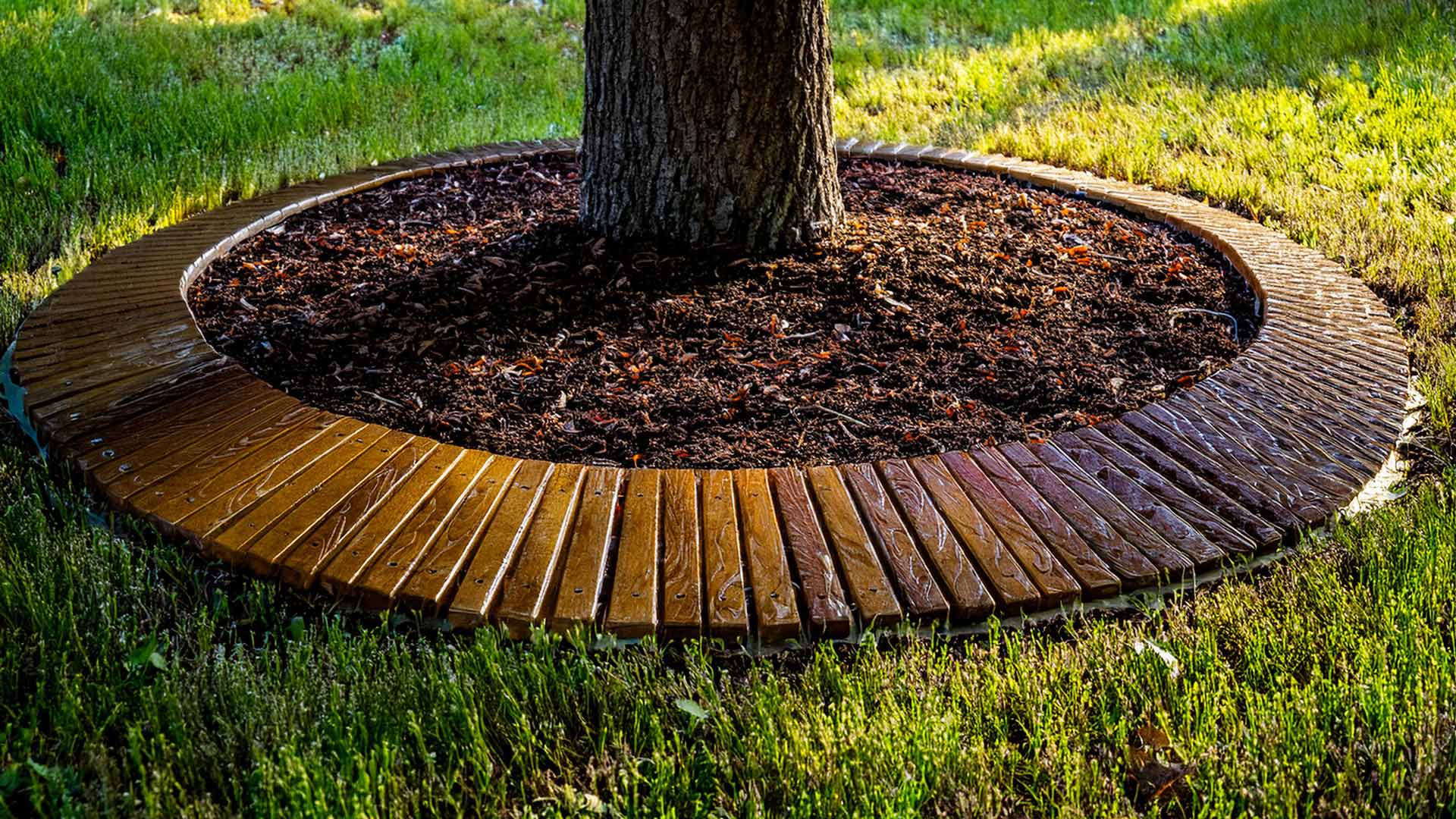wood edging colorado