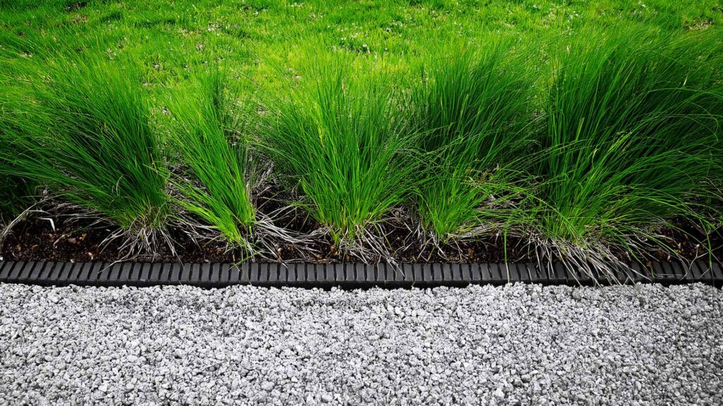 rubber landscape solutions in colorado